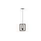 LN1111